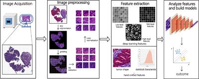 Recent advances of pathomics in colorectal cancer diagnosis and prognosis